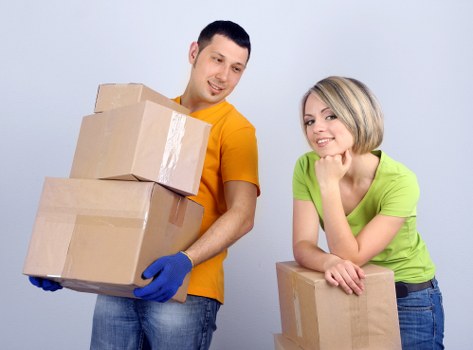 Service issue investigation notes for a removals complaint