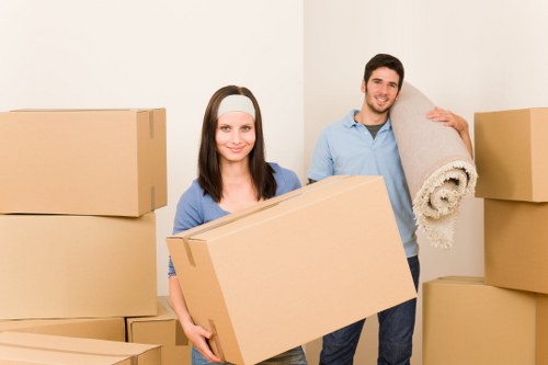 Mover handling packed boxes with care and attention to safety